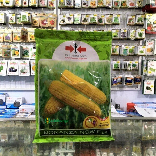 Benih Jagung Manis Kuning Bonanza Now F1 BUNGKUSAN 1800 Biji Bonansa