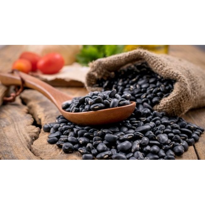 Benih Bibit Biji - Kedelai Hitam Grade Organik Kedele Black Soybean Kualitas Super