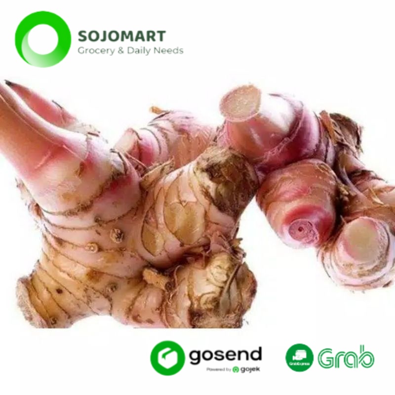 

Lengkuas Laos 250 gram Rempah Segar Murah Sayur Online Medan