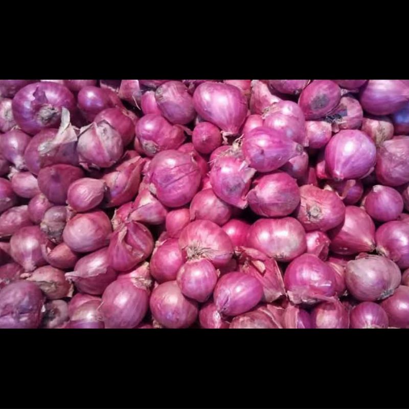 

Bawang Merah Besar Brebes Probolinggo Jumbo 1kg