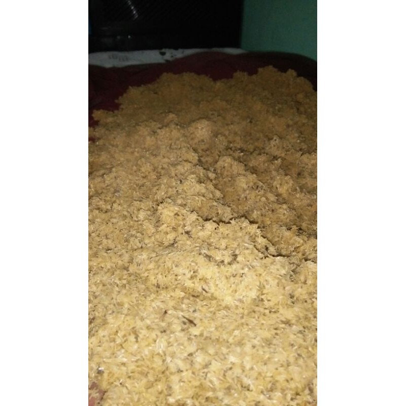 

Telur jangkrik Super