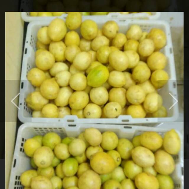 

Jeruk lemon per 100 gr