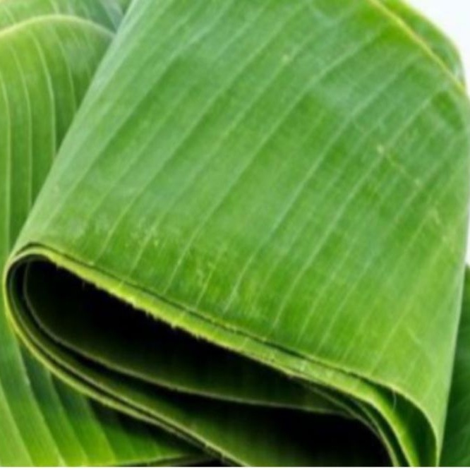 

Daun pisang hijau segar per ikat