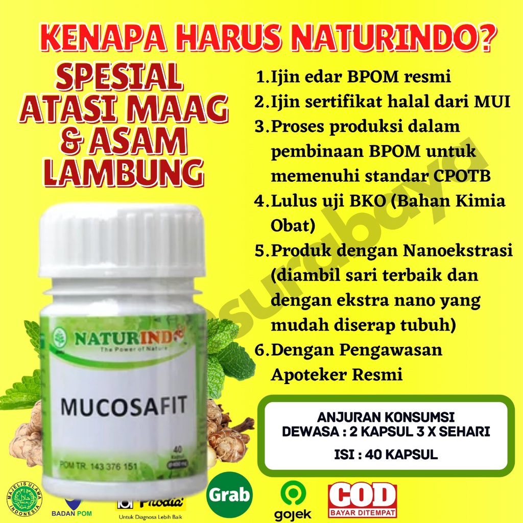 Obat Sakit Asam Lambung Maag Begah Sendawa Obat Herbal Sakit Maag Obat Asam Lambung Maag Kronis Obat Lambung Ampuh BPOM MUI Herbal MUCOSAFIT Naturindo Surabaya Obat asam lambung GERD naik maag gerd kronis tungkak lambung sakit perut mual muntah Herbal-7