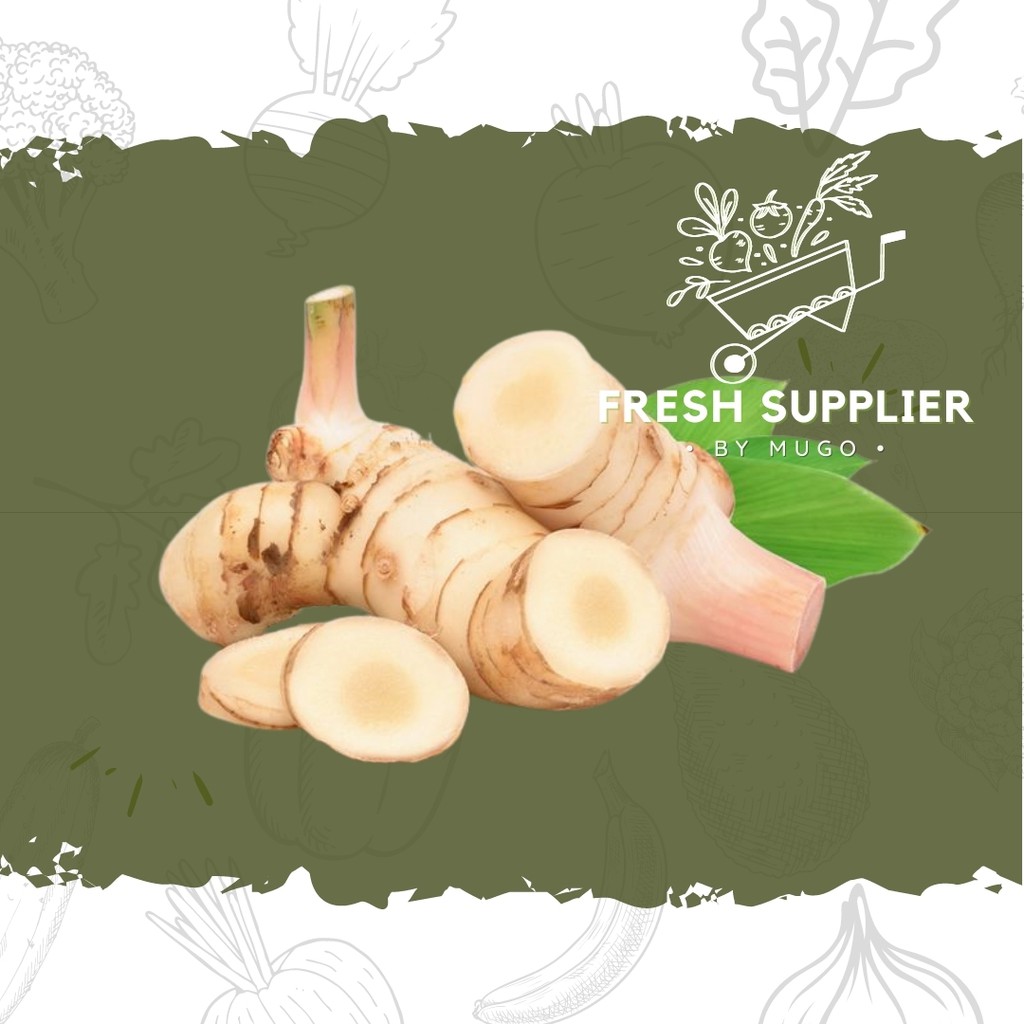 

Lengkuas 500g Fresh Supplier