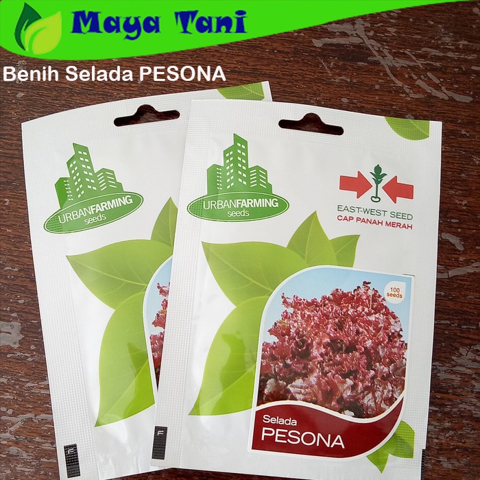 Benih Selada PESONA Isi 100 Seeds - Panah Merah