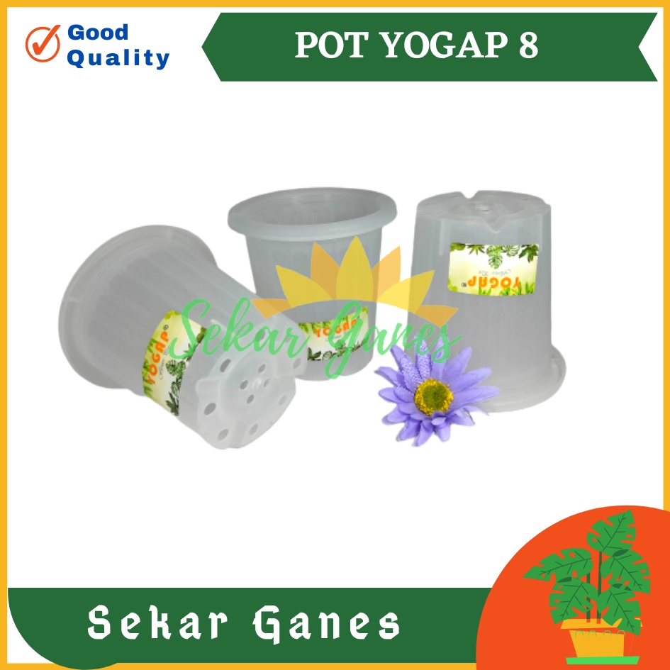 Sekarganes Pot Yogap 8 Bening Pot Yogap 10 13 15 17 18 19 25 30 Pot Yogap Murah