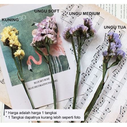 Forget Me Not Dried Flowers - Bunga Forget Me Not Kering (1pc)