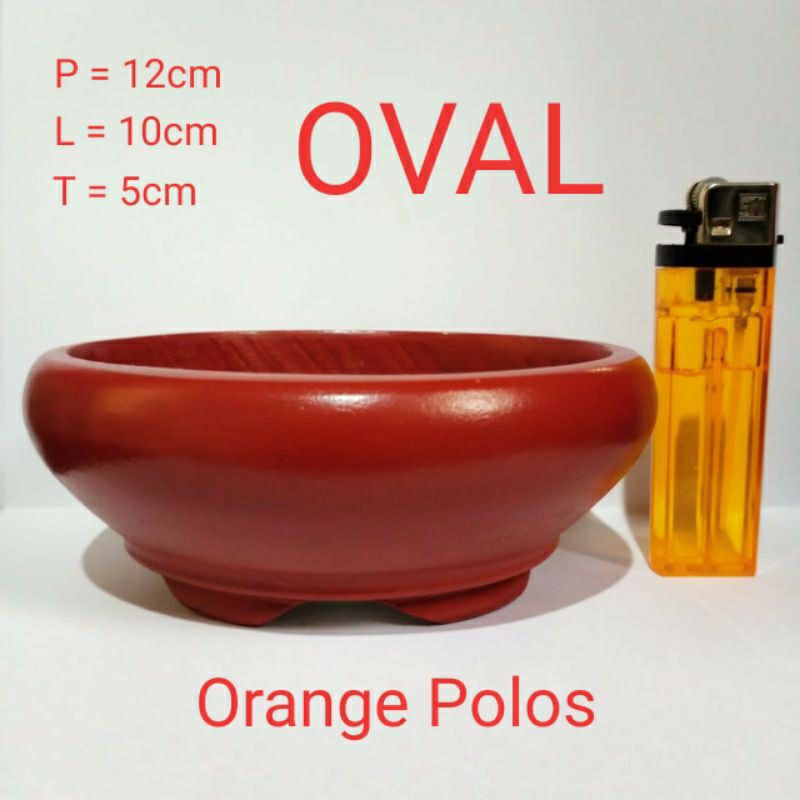 pot bonsai mame / lithops / sukulen model oval