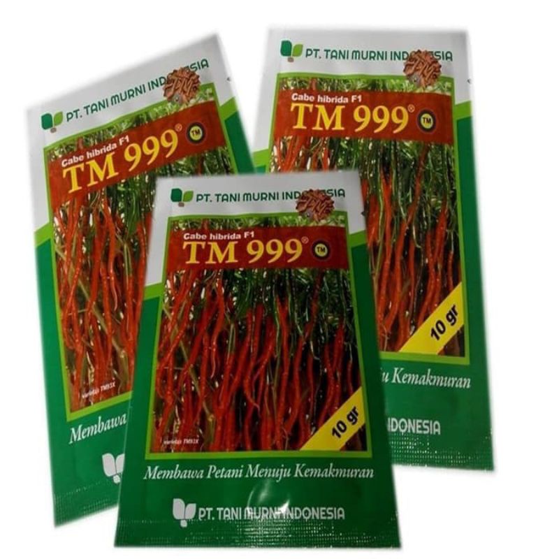 Benih cabai keriting Hibrida F1 TM 999 benih cabe bibit cabaj