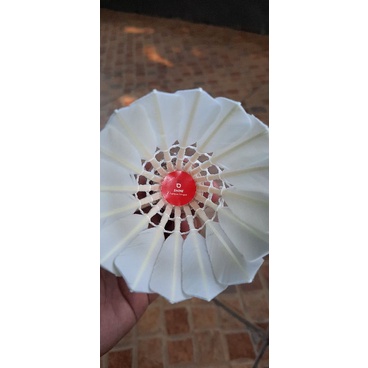 SHINE SHUTTLECOCK HARAPAN BANGSA