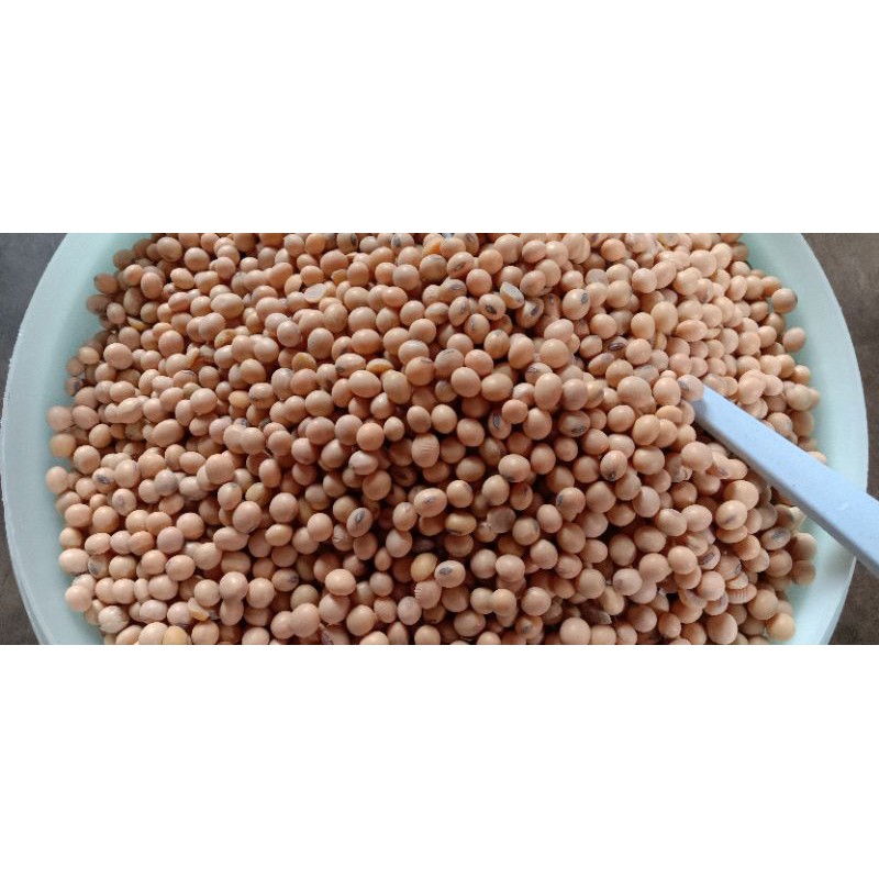

KACANG KEDELAI Bola Biru repackaged