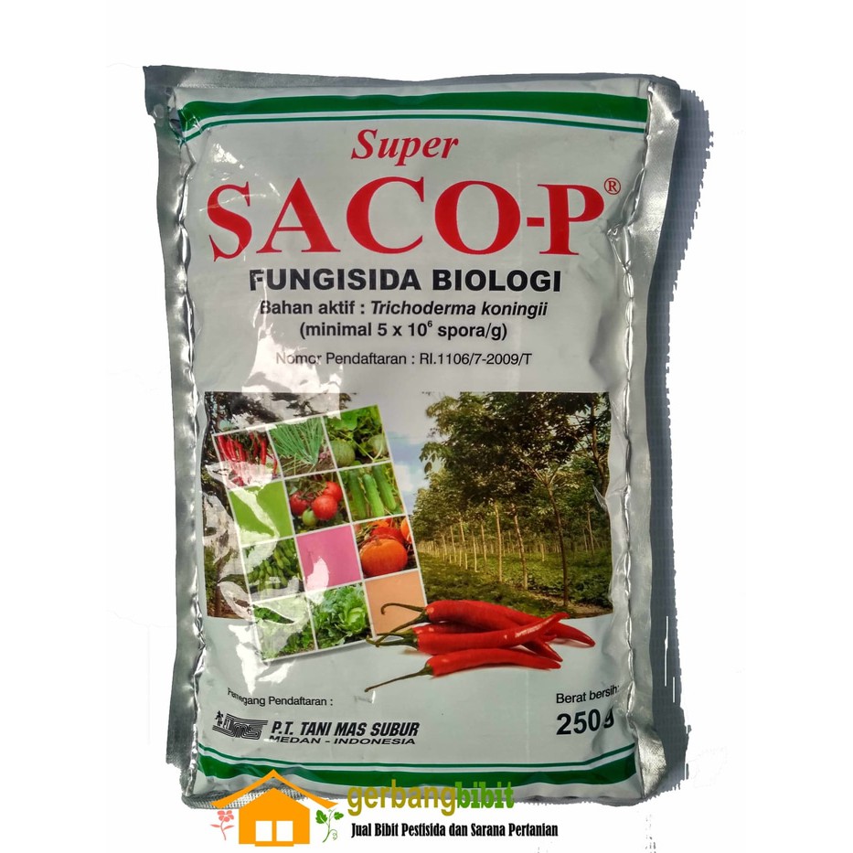 Fungisida Ampuh  Biologi Trichoderma koningii