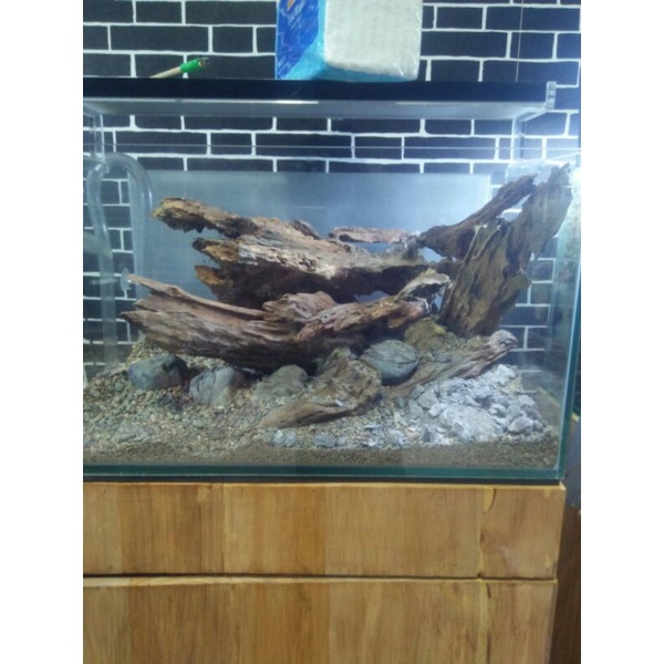 kayu rentek aquascape size m