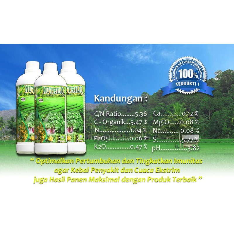 Pupuk Padi Terbaik Untuk Memperbanyak Anakan Dan Saat Bunting Shopee Indonesia