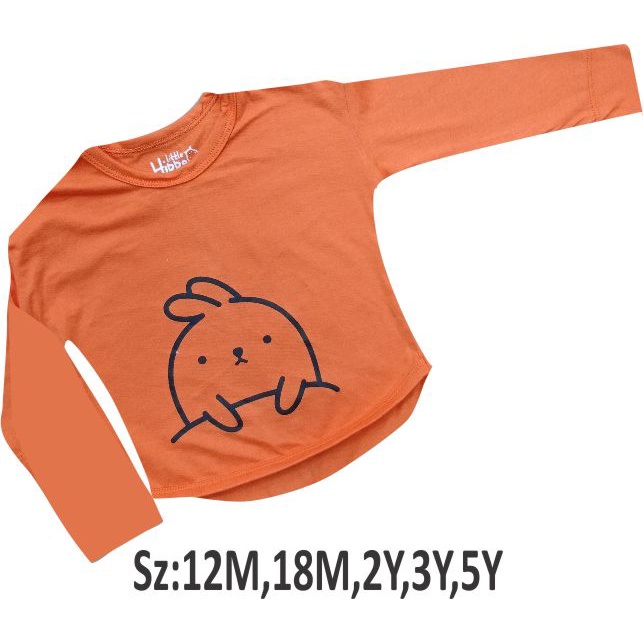 Baju Anak Long Sleeve Lengan Panjang Little Hippo / Kaos anak long sleeve Littlehippo Long Sleeve