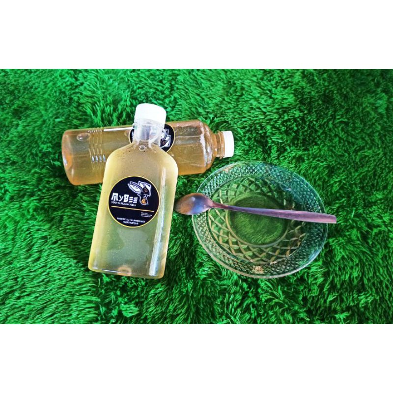 

Madu Putih Hutan Sumbawa ( Produk MyBee )