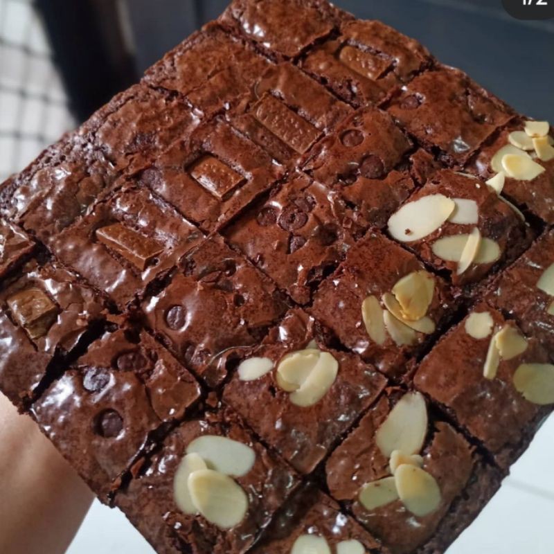 

fudge chewy brownies premium