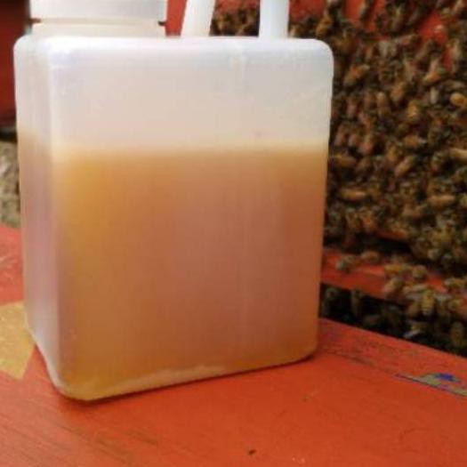 

BIG SALE!! (lnk-1272) [500GR] Madu Randu Murni Raw Honey Madu Mentah Asli