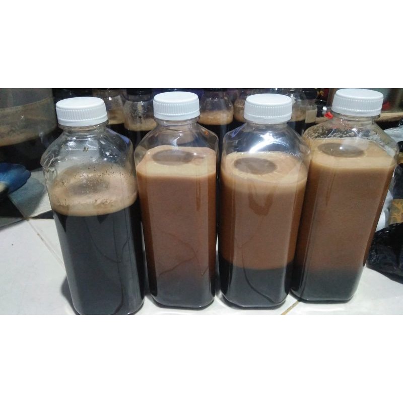 

madu murni hutan Albasia