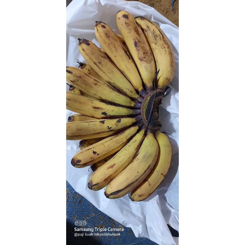 pisang barangan asli medan 1 sisir