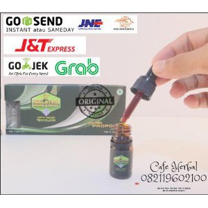 Jual Obat Penyakit Jantung Rematik Herbal Alami Limited Shopee Indonesia