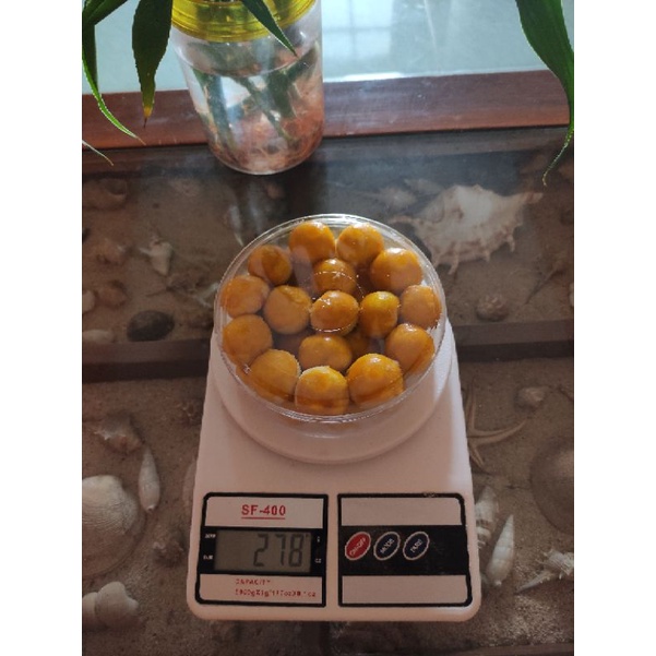 

Nastar HomeMade 250gr by Anies