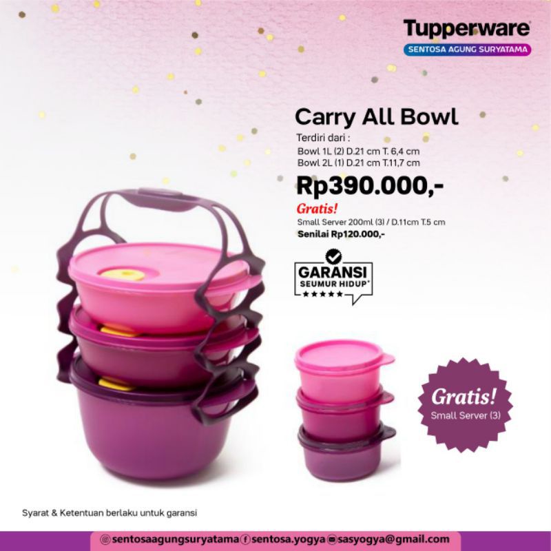 tupperware carry all bowl