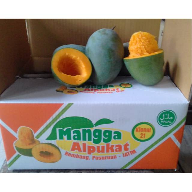 

Mangga Alpokat Super 1kg
