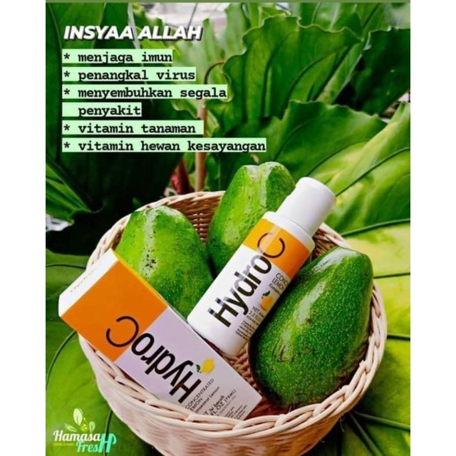 

Hydro C