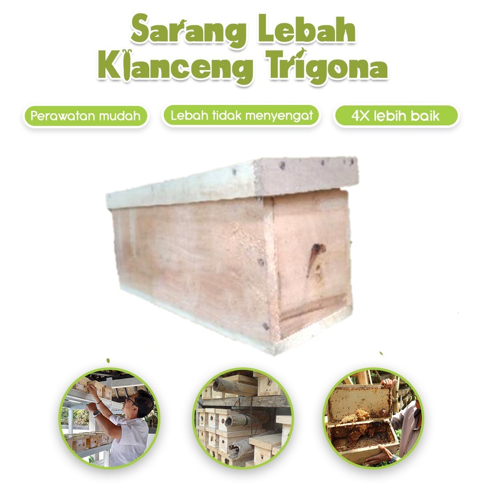 1 kotak sarang lebah klanceng trigona