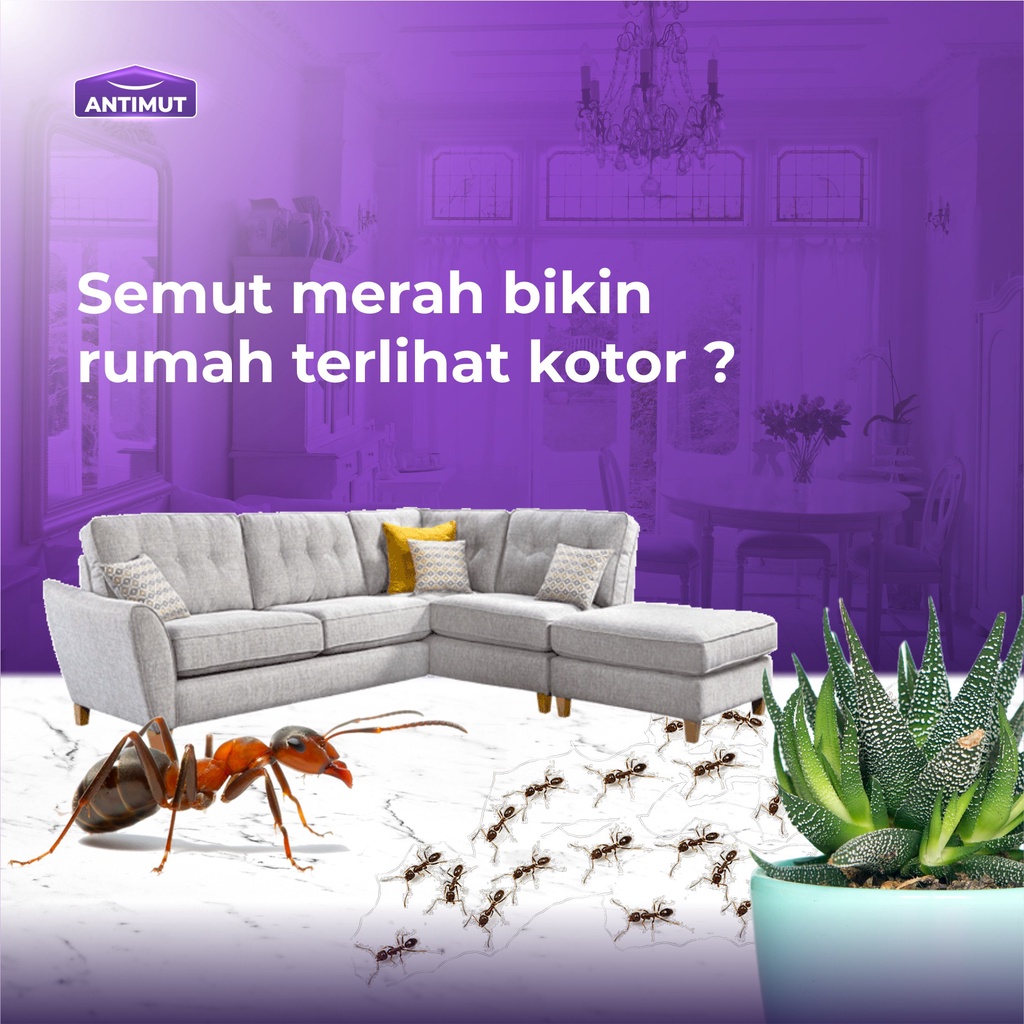 Antimut Spray Racun Semut Merah Ampuh Membasmi Bahan Alami 250 ML Bergaransi