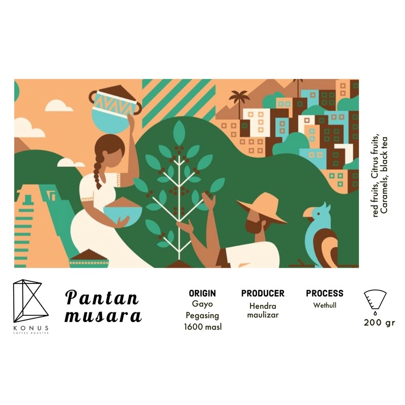 

arabica gayo pantan musara