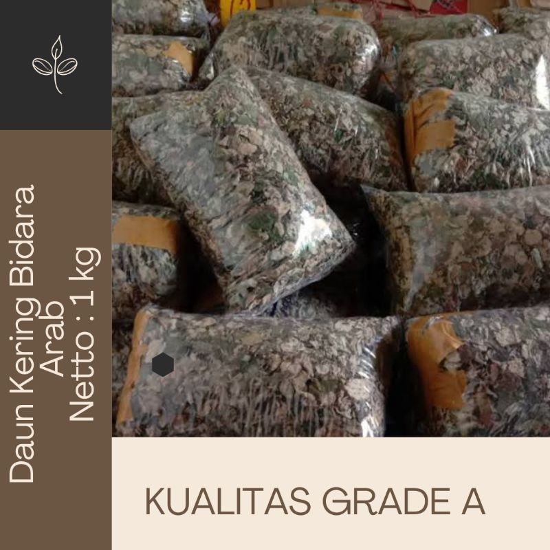 

Abadistore21 - Daun kering hijau Bidara Arab netto : 1kg /pck