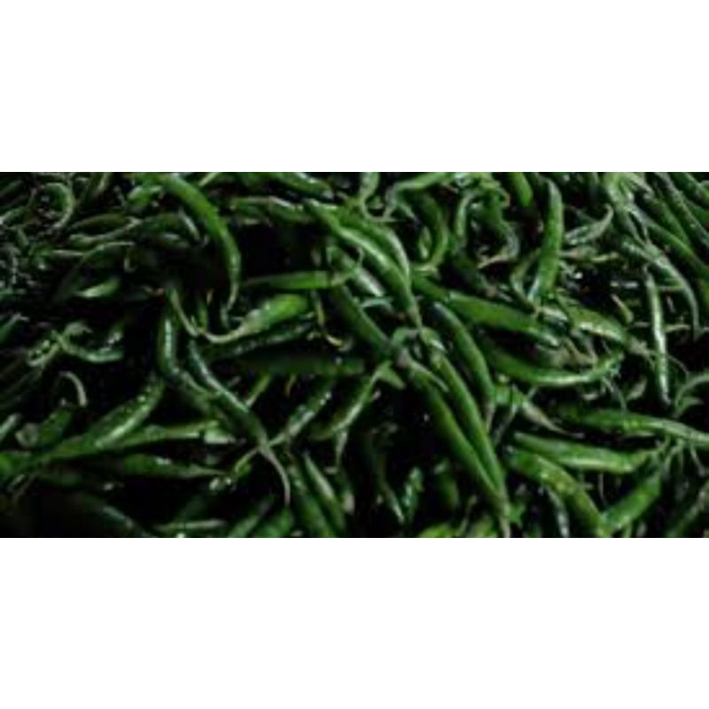

cabe hijau 500 gram