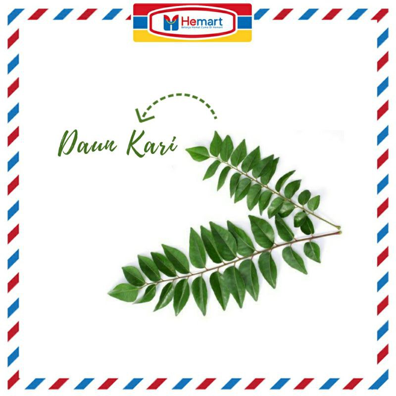 

(ORGANIK) DAUN KARI PER PACK / SALAM KOJA / PRODUK LANGKA