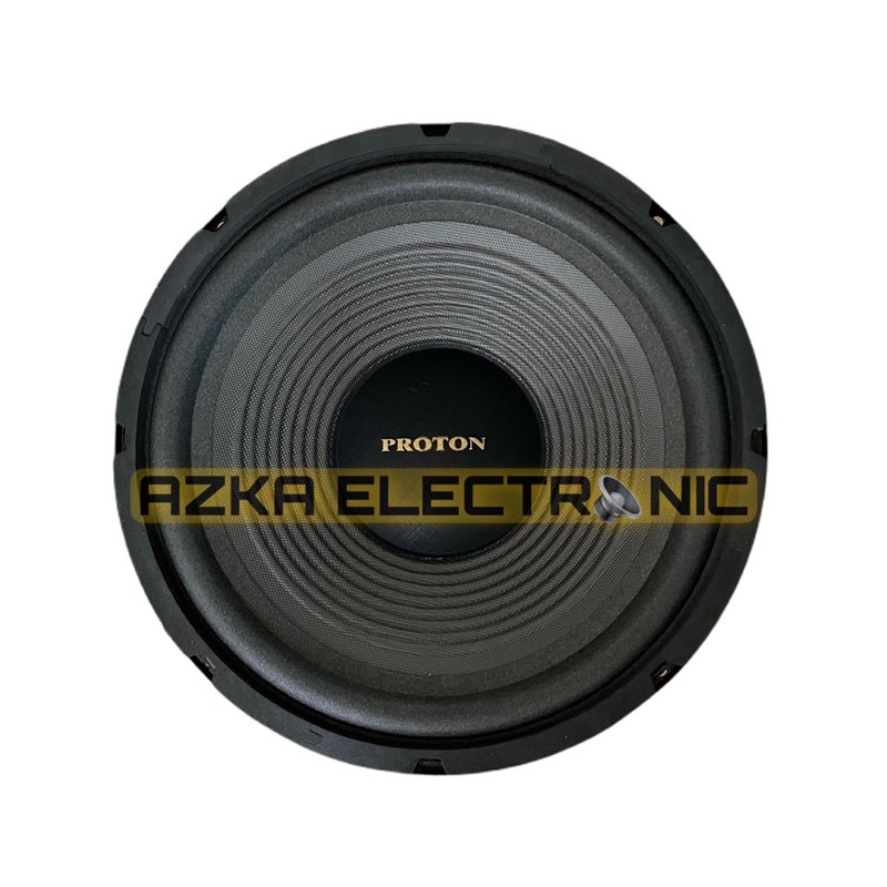 Speaker Proton 10 Inch Woofer 300 Watt