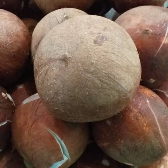 

Kelapa parut