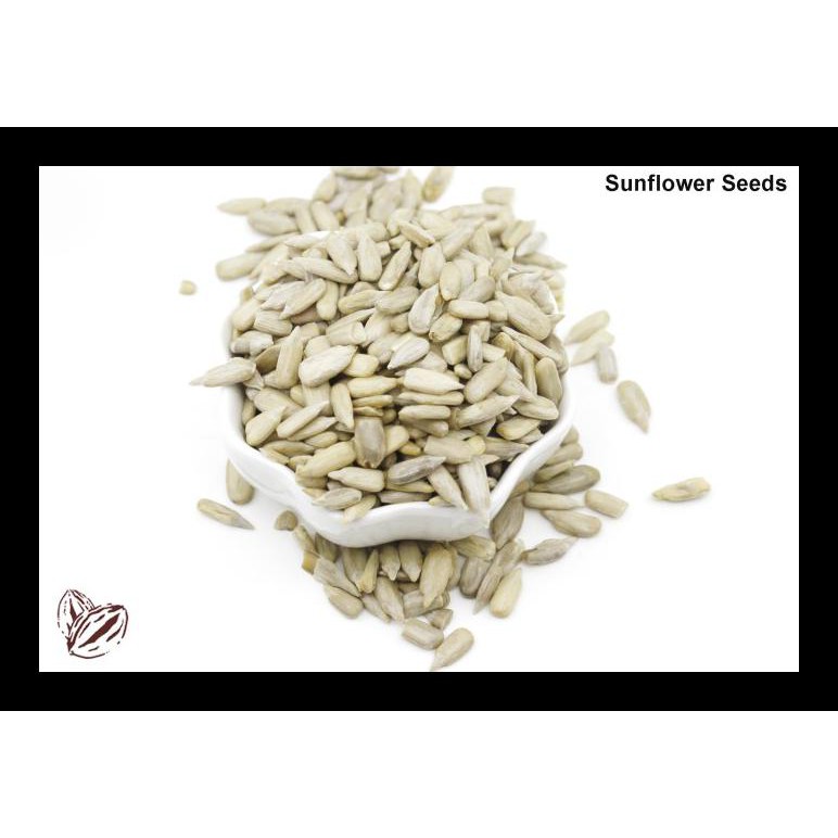 

BEST SELLER! SUNFLOWER / BIJI BUNGA MATAHARI MENTAH 1KG TERMURAH