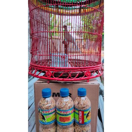 PAKAN BURUNG PERKUTUT - LONG PERKUTUT - SPECIAL PAKAN BURUNG PERKUTUT JUARA - MILET PAKAN BURUNG