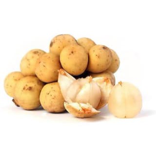 1 benih/biji buah duku