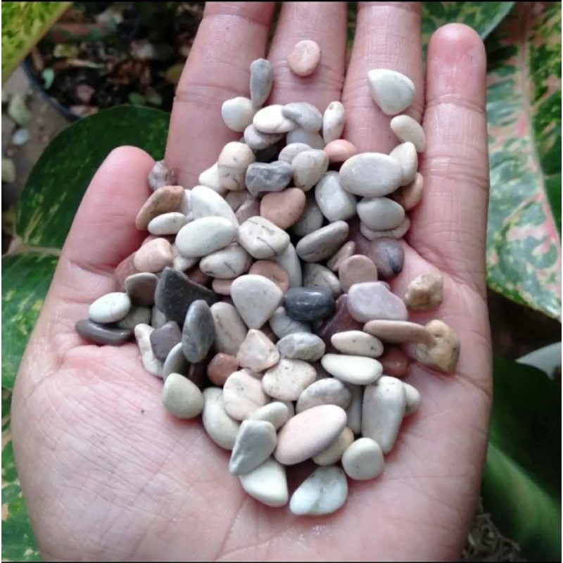 Batu pancawarna 500gram / Batu mix / Batu hiasan aquarium dan pot tanaman