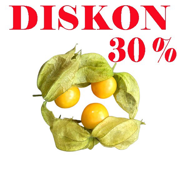 

Buah Ciplukan 1 Ons PROMO DISKON!!!