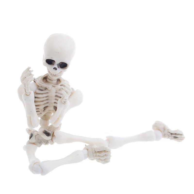 Mary Movable Mr. Bones Skeleton Model Manusia Tengkorak Full Body Mini Figure Mainan Halloween