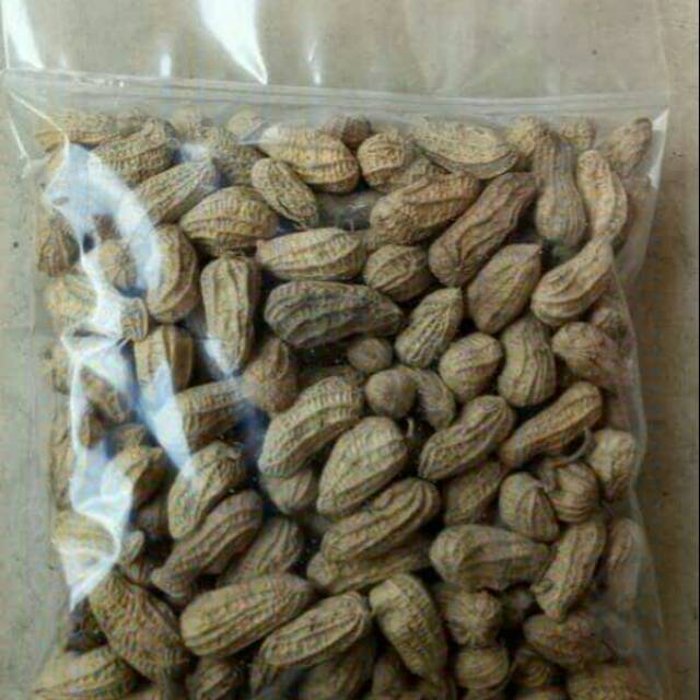 

Kacang sangray 1kg/ 3 Literan beras