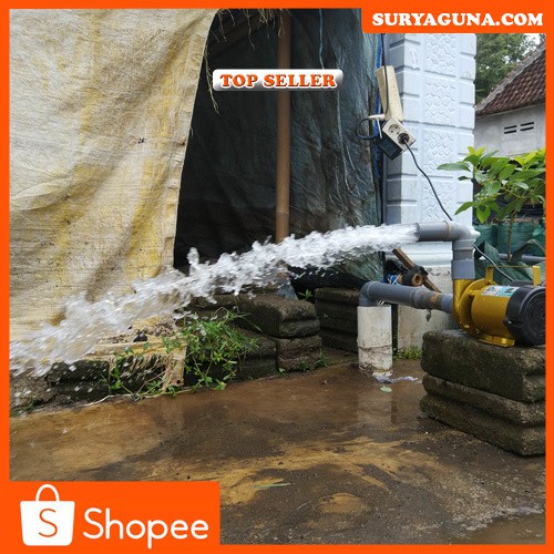 Pompa Air Listrik Pompa Kolam Ikan Koi Listrik 2 Inc