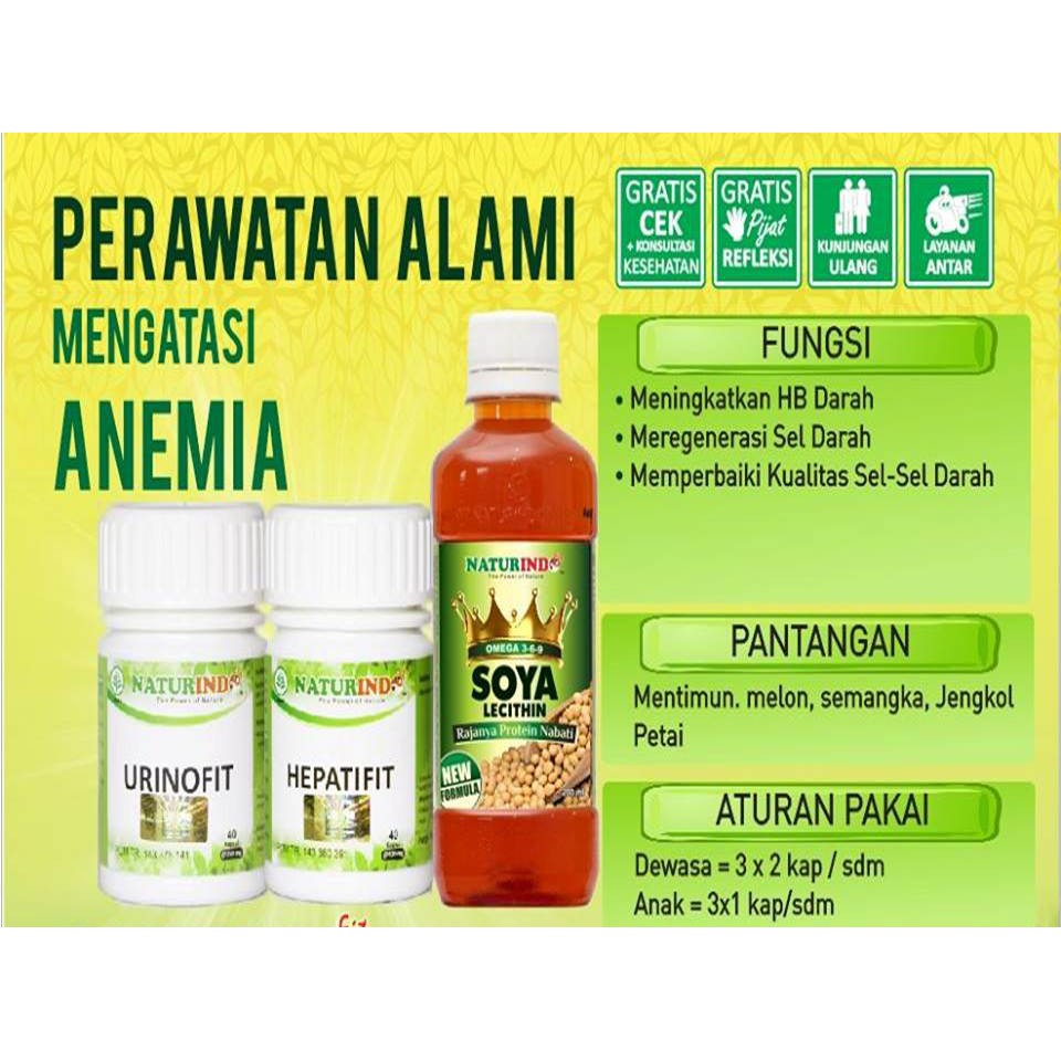 

Perawatan Alami Mengatasi Anemia