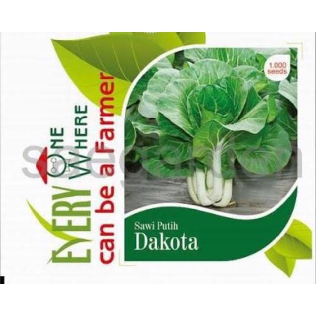 Benih Sawi Putih Dakota Cap Panah Merah