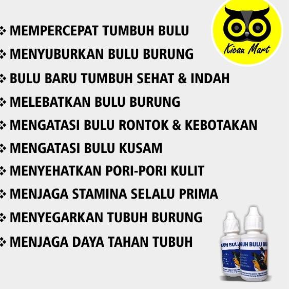 Terbaru➫ PENUMBUH BULU BURUNG SEMPATI OBAT CABUT BULU RONTOK KUSAM BOTAK UNTUK MURAI KACER LOVEBIRD 