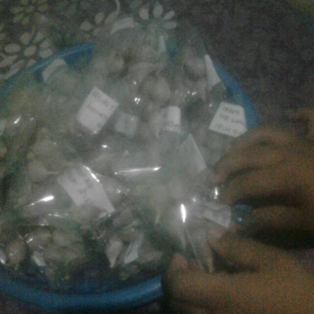 

Bawang putih tunggal